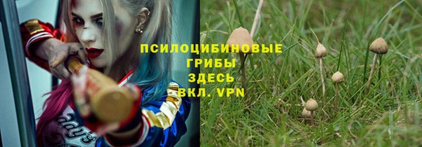 крисы Нефтегорск