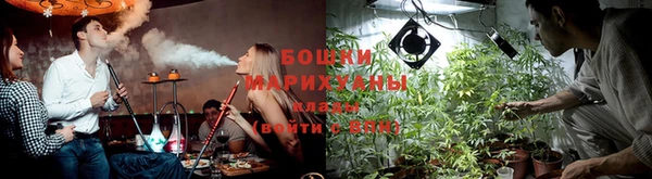 крисы Нефтегорск
